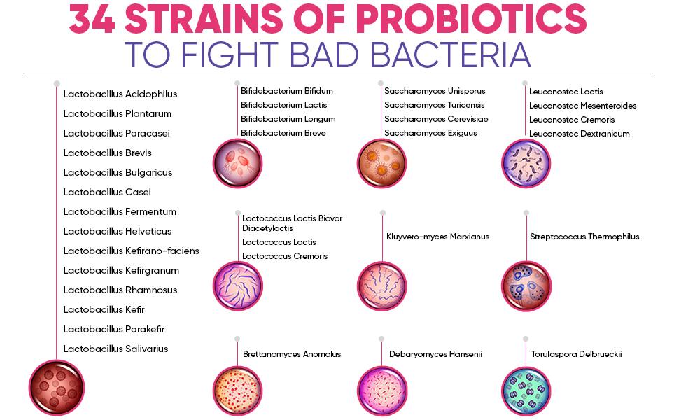 Women's Probiotics 100 Billion CFU - Wholesome Wellness